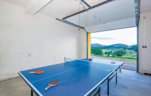 a ping pong table in a room with a ping pong racket at Villa Mila in Sveti Juraj