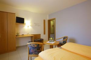 TV a/nebo společenská místnost v ubytování Hotel-Restaurant Gasthof Adler