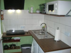 a kitchen with a sink and a microwave at Villa Moeller in Treuenbrietzen