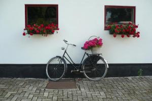Jízda na kole v ubytování Ferienbauernhof De Slaaphoeve nebo okolí