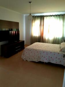 a bedroom with a bed and a tv and a window at Roteiro de charme in Paranoá