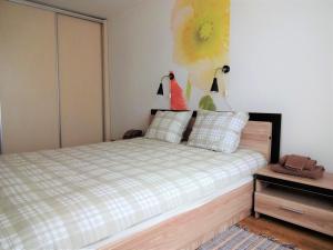 a bedroom with a bed with a checkered bedspread at Kaktuss Apartamenti in Valmiera