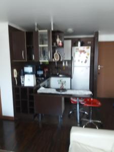 een keuken met een aanrecht en een koelkast bij Teatinos 690 in Santiago