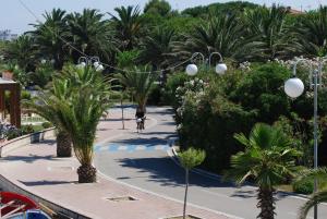 a person riding a bike down a sidewalk with palm trees at Hotel Clara in Tortoreto Lido