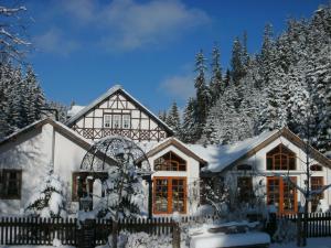 Gasthof Bischofsmühle v zimě