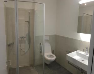 a bathroom with a shower and a toilet and a sink at Close to Zürich centre and Airport in Kloten