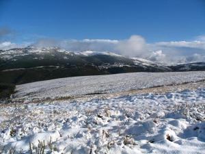 Billede fra billedgalleriet på Casa Ferreira i Góis