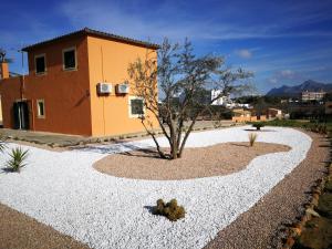 un jardín de rocas con un árbol en el medio en Ses Roques, en Alcudia