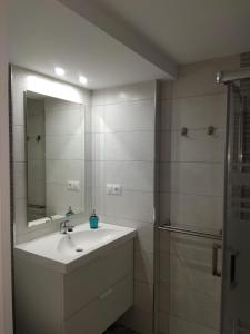 Koupelna v ubytování Apartamento Pepita Alay