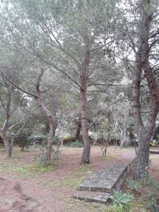 Afbeelding uit fotogalerij van Casa Nicoletta in Ustica