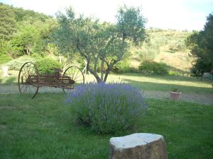 A garden outside Agriturismo Le Roghete