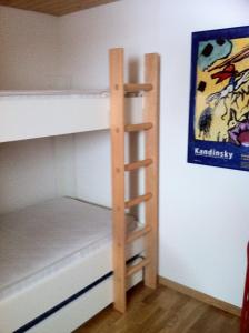 a bunk bed with a ladder in a room at Haus Fischer, Wohnung Grest in Flumserberg