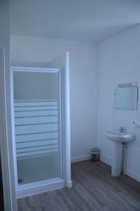 a bathroom with a glass shower door next to a sink at Le Lion d'Or in Selles-sur-Cher +39 photos