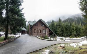 a log cabin in the mountains with a driveway at Лісовий Маєток in Slavske