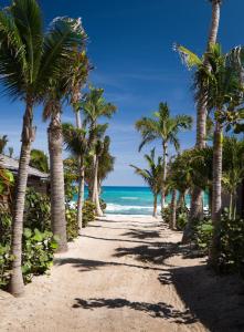 Gallery image of Hotel Manapany in Gustavia