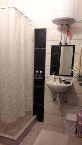 a bathroom with a shower and a sink and a mirror at Rooms Adrijana in Banja Luka