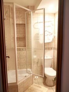 a bathroom with a shower and a toilet at Mini Apartament MARINE in Świnoujście