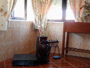 ein Zimmer mit einer Vase mit einer Pflanze darin in der Unterkunft Aqui Jardim in Reguengos de Monsaraz