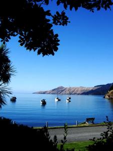 Gallery image of French Pass Beachfront Villas in Elmslie Bay