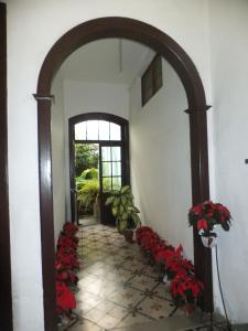 Casa Colonial Cejas外面的花园