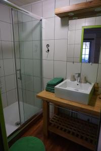 y baño con lavabo y ducha. en Gite 3* pour 2 "Vert Campagne", en Grézillé