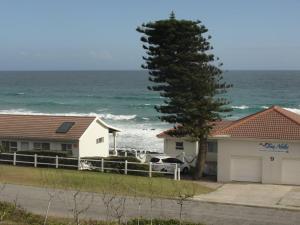 a house and a tree next to the ocean at Sea Notes Guest House in Port Elizabeth