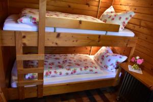 2 Etagenbetten in einem Zimmer mit Kissen in der Unterkunft Ellernhof im Spessart in Stadtprozelten