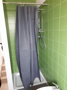 y baño con ducha con cortina gris. en Porta Maia en Urbino