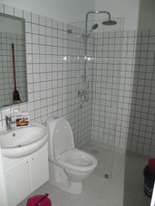 a bathroom with a shower and a toilet and a sink at Peder Dovns Slippe in Ribe