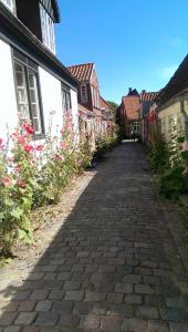 a cobblestone street in a town with houses and flowers at Peder Dovns Slippe in Ribe