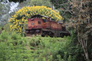 Zahrada ubytování Train View Chalet