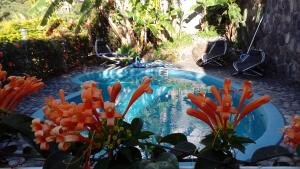 une petite piscine dans une cour avec quelques plantes dans l'établissement Villa Hélèna B&B, à Sainte-Marie