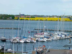 a bunch of boats docked in a harbor at Ferienwohnung am Südstrand in Burgtiefe auf Fehmarn  +3 photos