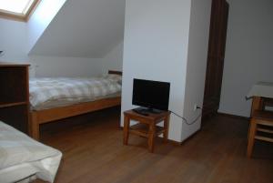 1 dormitorio con 1 cama y mesa con TV en Pension Holetín, en Horní Holetín