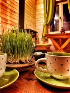 a wooden table with two cups and plates with plants at Brvnara Borovik in Cetinje