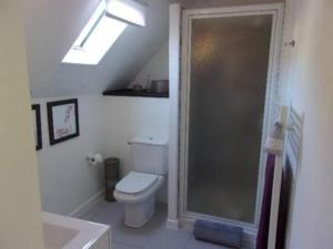 a white bathroom with a toilet and a shower at Riverside Barn in La Trimouille