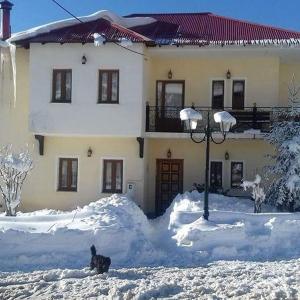 a dog sitting in the snow in front of a house at Natasa Rooms in Filippaioi