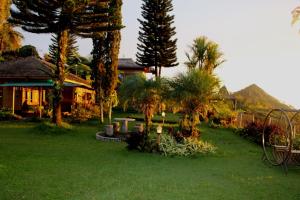 A garden outside Sukuh Cottage