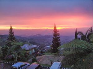 Gallery image of Sukuh Cottage in Tawangmangu