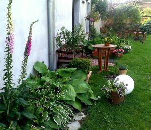 Guest House Wiejska Sielanka في Brody: حديقة بها طاولة وبعض النباتات