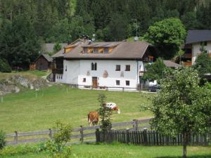twee koeien die grazen in een veld voor een huis bij Krüglwirt in San Lorenzo di Sebato