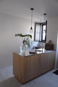 a kitchen counter with a sink and a potted plant on it at Campo de Santa Clara 98 in Lisbon