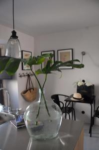 un vase avec une plante sur un comptoir de cuisine dans l'établissement Campo de Santa Clara 98, à Lisbonne