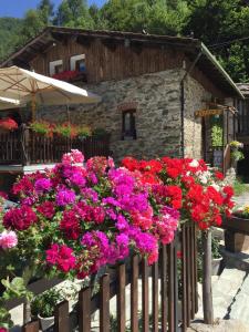 osteria b&b il barcollo