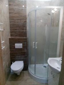 a bathroom with a shower and a toilet and a sink at Miramar in Łeba