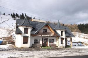 a house with a black roof in the snow at Tranzyt in Yablunytsya
