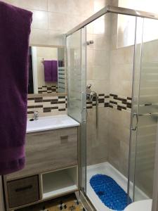 a bathroom with a shower and a sink at La Casa en el Centro in Écija