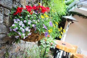 Vrt ispred objekta The Enniskerry Inn