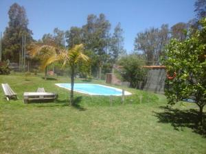 a palm tree and a swimming pool in a yard at Morro del Tesoro in Punta del Este