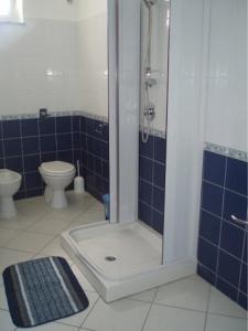 a blue tiled bathroom with a shower and a toilet at Case Vacanza Alega Mare in Nizza di Sicilia